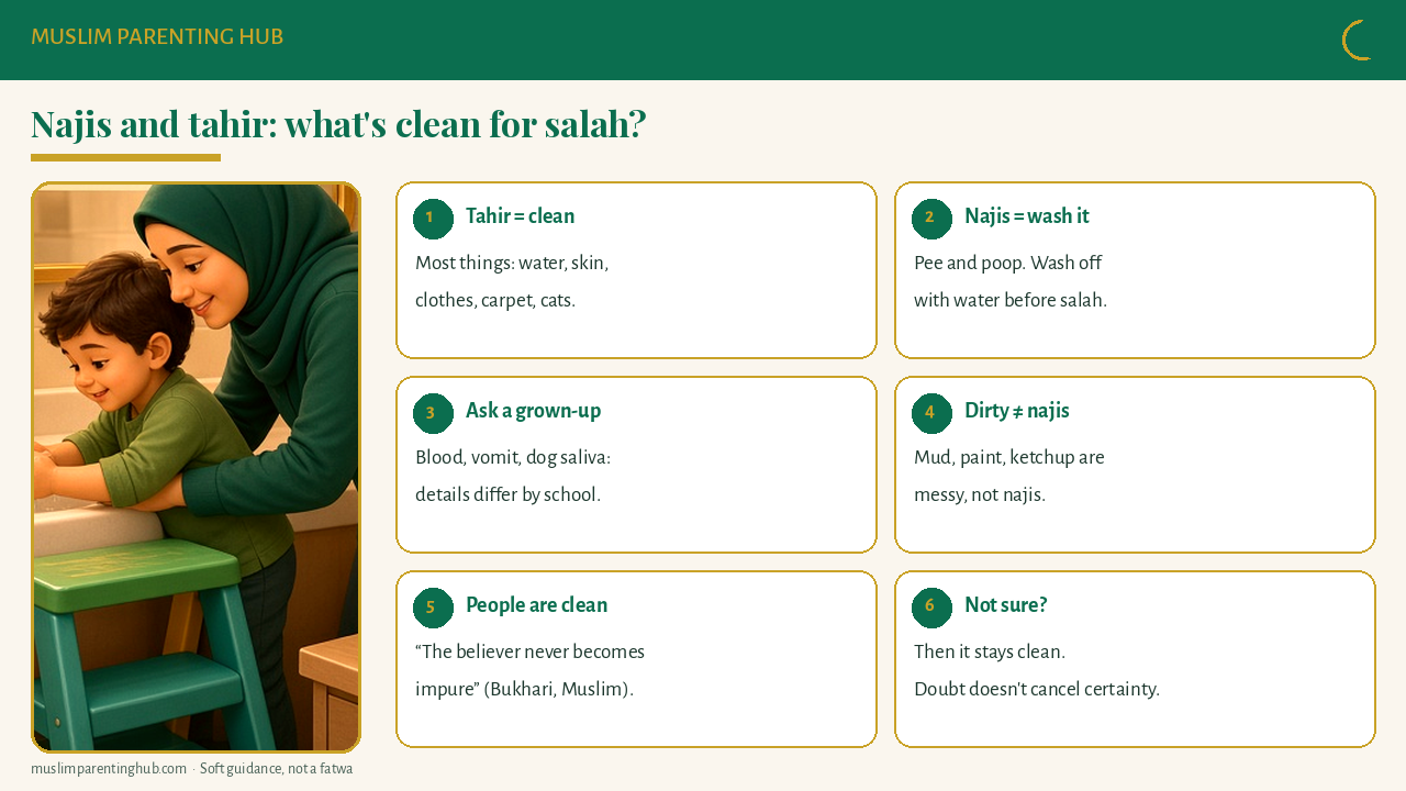 Najis and tahir for kids: what is clean for salah and what needs washing