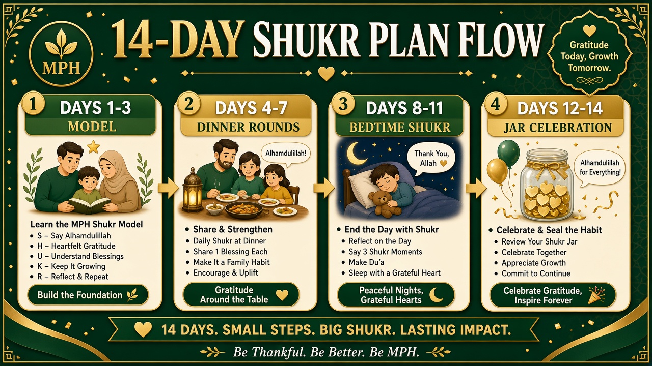 14-day shukr plan flow